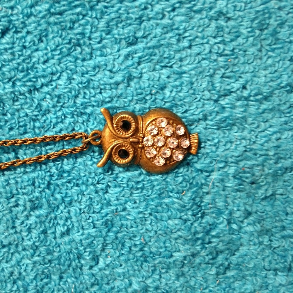 Owl Necklace
